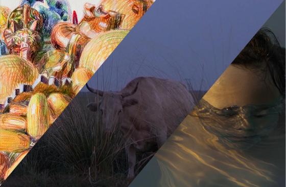 Nina Kotel, Alexandra Mitlyanskaya, Evgenia Solomatina. About all the things that live there